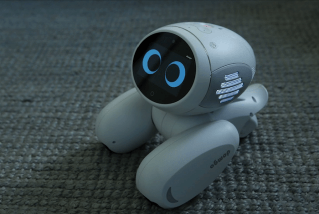 Beijing startup ROOBO releases artificial intelligence pet robot Domgy